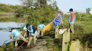 Gestión ambiental: el Municipio de Tigre y Provincia realizaron un operativo de limpieza en el arroyo El Claro