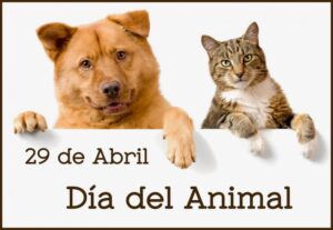 29 de abril: Día del animal.
